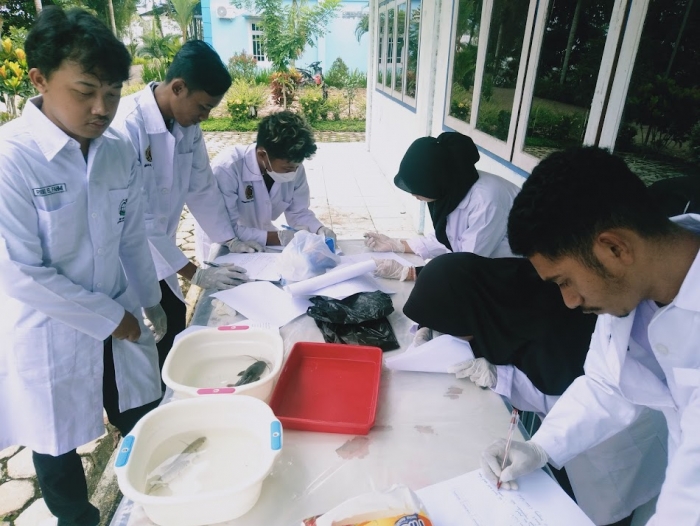 Mahasiswa Akuakultur Antusias Mengikuti Praktikum Pengamatan Ekto dan Endoparasit pada Komoditas Ikan Air Tawar