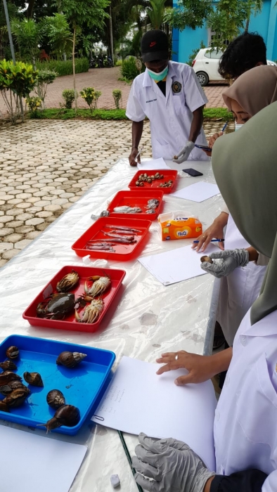 Mahasiswa Akuakultur melakukan Praktikum Avertebrata Air