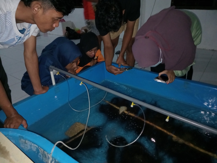 Mahasiswa Prodi Akuakultur melakukan Praktikum Pemijahan Buatan pada Mata Kuliah Teknologi Pembenihan Ikan